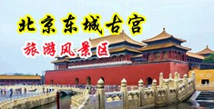 福利操屄中国北京-东城古宫旅游风景区